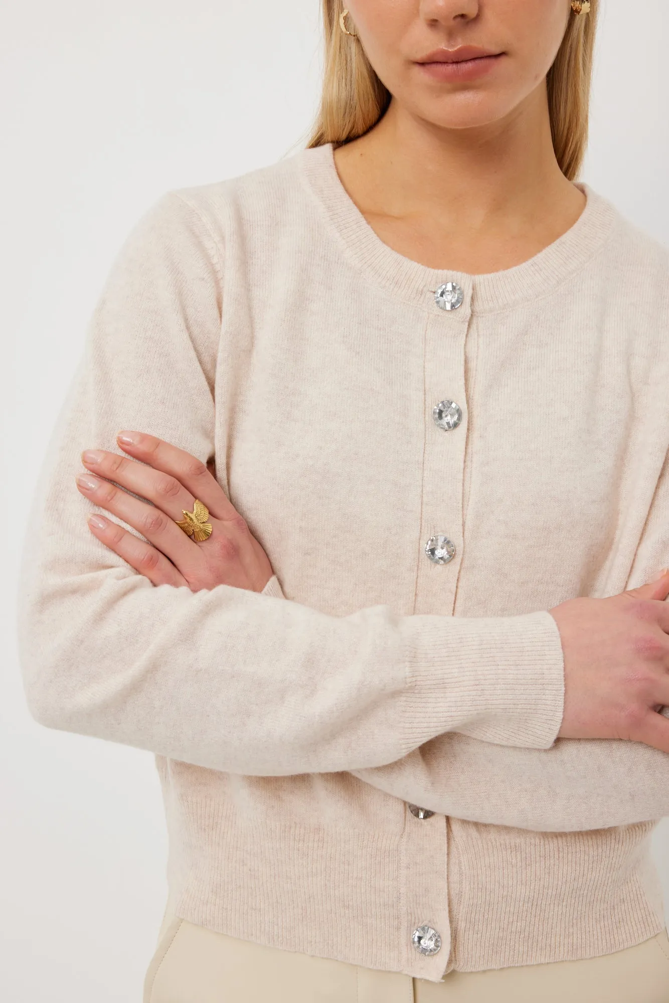 Tuesday | Annie Cardi