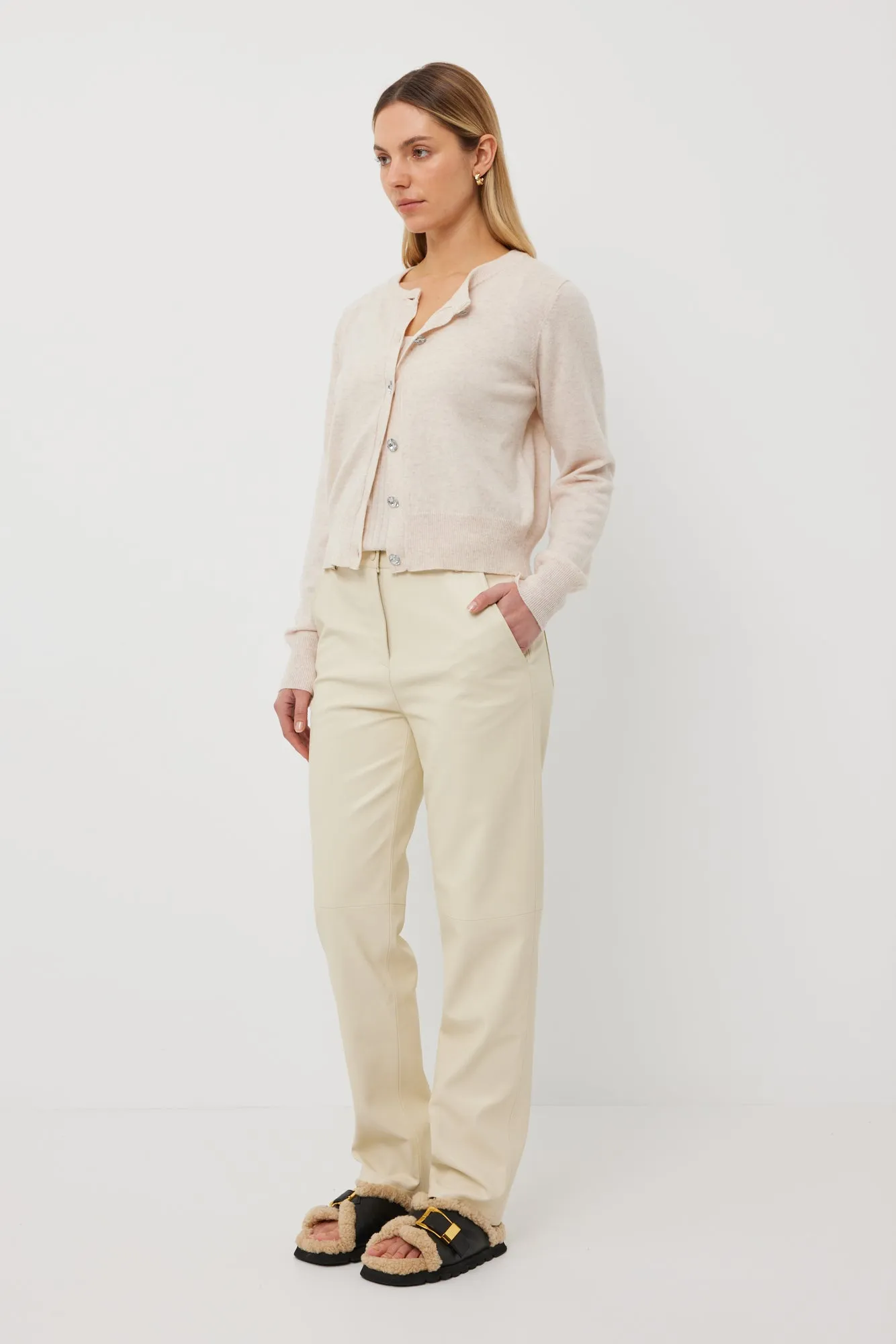 Tuesday | Annie Cardi